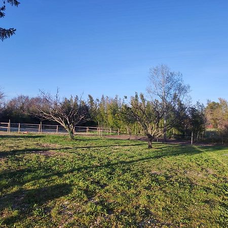 Maison A La Campagne Bouchet  Esterno foto