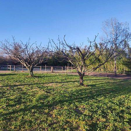 Maison A La Campagne Bouchet  Esterno foto