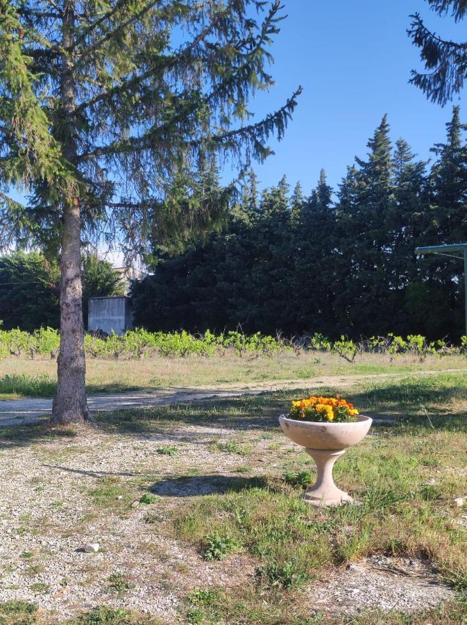 Maison A La Campagne Bouchet  Esterno foto