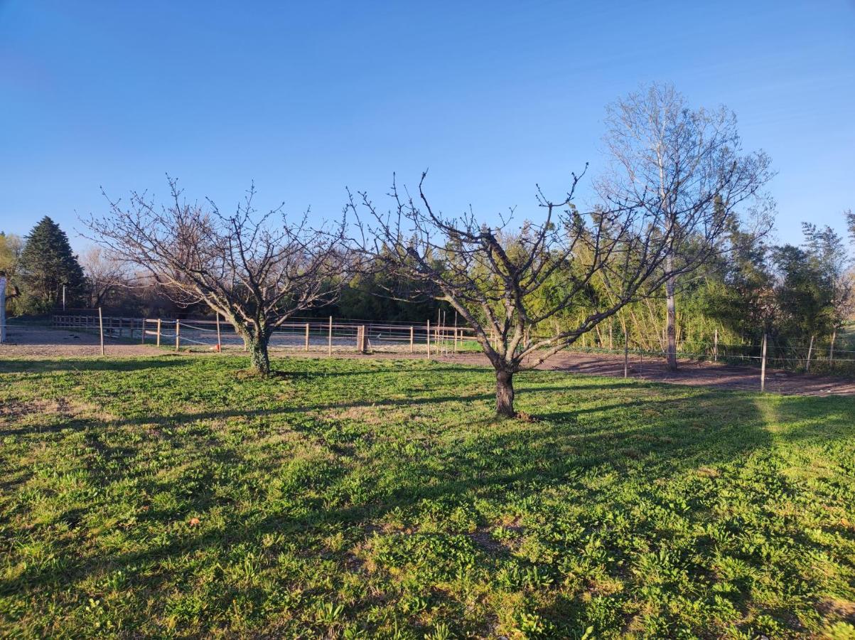 Maison A La Campagne Bouchet  Esterno foto